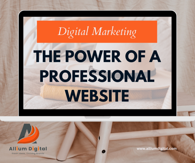 The Power of a Professional Website